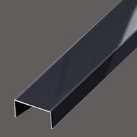 Black titanium Stainless steel U decorative strip