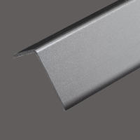 Black titanium stainless steel L decorative strip